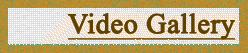homepage
